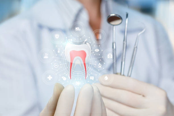 Professional Dental Services in Lorton, VA